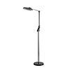 картинка LUMION 8332/15FL LEDIO LN26 458 темно-серый, металл/пластик Торшер LED 15W 3000/4000/6000K ССТ/димме