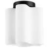 картинка Lightstar Люстра потолочная Nubi  802017