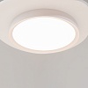 картинка Maytoni Потолочный светильник Инкогнито / Incognito 2700-4000К 35Вт