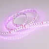 картинка Arlight Лента  026834