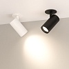 картинка Arlight Спот  034148