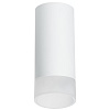 картинка Lightstar Комплект со светильником Rullo Rullo  R648681