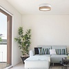 картинка TK Lighting Потолочный светильник 6577 Linobianco
