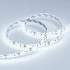 картинка Arlight Лента  016838(2)