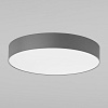 картинка TK Lighting Потолочный светильник 2725 Rondo Graphite