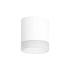 картинка Lightstar Комплект со светильником Rullo Rullo  R348680