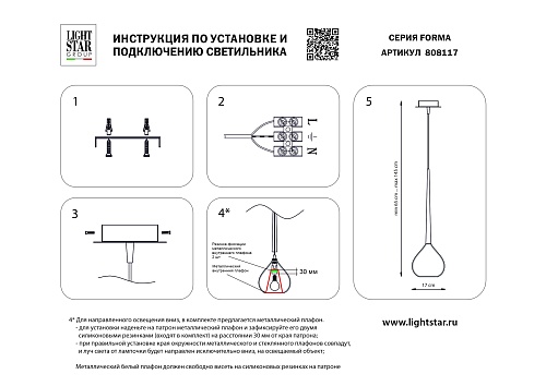 картинка Lightstar Подвес Forma  808117