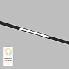 картинка Denkirs Трековый светильник  DK8003-BK