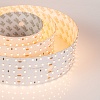 картинка Arlight Лента  023405