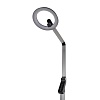 картинка LUMION 8332/15FL LEDIO LN26 458 темно-серый, металл/пластик Торшер LED 15W 3000/4000/6000K ССТ/димме