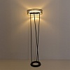 картинка LUMION 8370/30FL LEDIO LN26 304 черный, металл/силикон Торшер LED 30W 3000/4000/6000K 220V ALVA