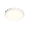 картинка Светильник Denkirs DK6516-WH