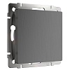 картинка WERKEL Заглушка (графит рифленый) W1159204