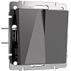 картинка WERKEL Выключатель двухклавишный проходной (графит акрил) W1122044