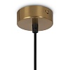 картинка Maytoni Подвесной светильник Круг / Ring G9х4