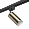 картинка Lightstar Комплект со светильником Rullo Rullo  R1T43130