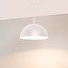картинка Arlight Подвесной светильник  053810