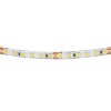 картинка Lightstar Лента белого свечения LED 24V   420854