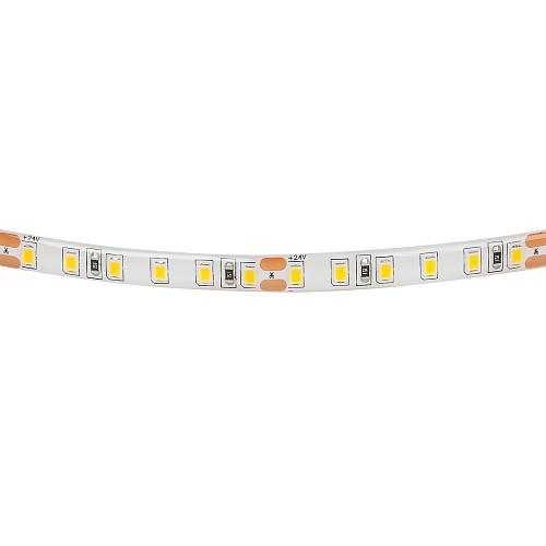 картинка Lightstar Лента белого свечения LED 24V   420854