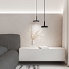 картинка Elektrostandard Подвесной светильник Plate 50260 LED