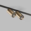 картинка Трековый светильник Denkirs DK8012-BG