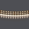 картинка Lightstar Лента белого свечения 24V   421504