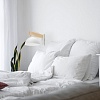 картинка TK Lighting Настенный светильник 4962 Oslo