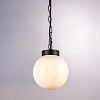 картинка Lightstar Светильник подвесной уличный Bolla  373110