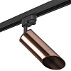 картинка Lightstar Комплект со светильником Rullo Rullo  R1T43030