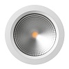 картинка Arlight Светильник Downlight  021070
