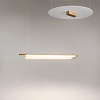 картинка Maytoni Подвесной светильник Тень / Loom 2700К 20Вт