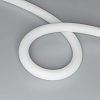 картинка Arlight Гибкий неон  037564