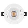 картинка Arlight Светильник Downlight  037188(1)