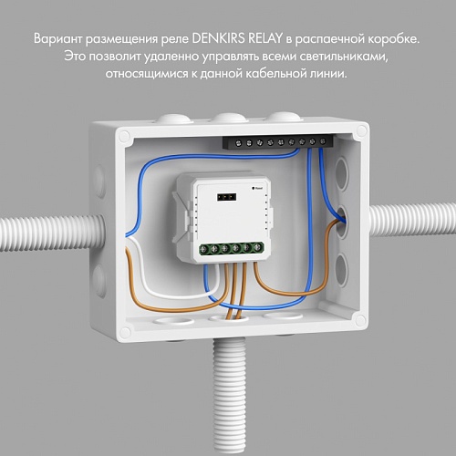 картинка Denkirs Двухканальное Wi-Fi реле-диммер  RL1004-DM