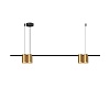 картинка Denkirs Подвесной светильник ORBIT DK4061-BK+SG
