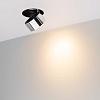 картинка Arlight Спот  038064
