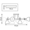 картинка Lightstar Люстра потолочная Acrobata  761063