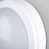 картинка Elektrostandard Пылевлагозащищенный светодиодный светильник 15W 6500K IP65 LTB51