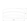 картинка TK Lighting Потолочный светильник 6578 Linobianco