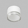 картинка Denkirs Влагозащищенный светильник  DK-DH2610-WH