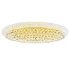 картинка Lightstar Люстра потолочная Monile  704212