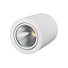 картинка Arlight Накладной светильник  021065