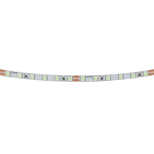 картинка Lightstar Лента цветного свечения 24V, голубой   420516