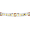 картинка Lightstar Лента  белого свечения 24V   421004