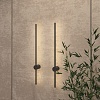 картинка Настенный светильник Denkirs DK5012-BK