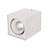 картинка Arlight Накладной светильник  023078(1)