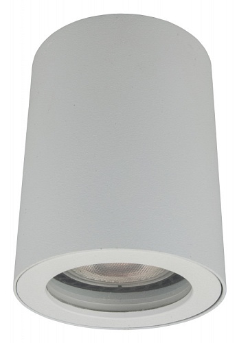 картинка Denkirs Влагозащищенный светильник  DK3007-WH