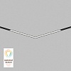 картинка Трековый светильник Denkirs DK8014-BK