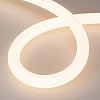 картинка Arlight Гибкий неон  039318