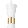 картинка Lightstar Подвес Dumo  816016